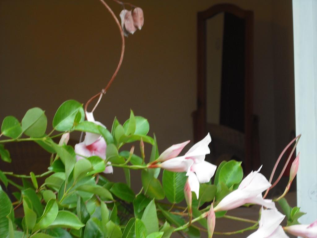 Casa Martello Apartment Levico Terme Room photo
